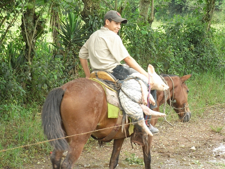Copan Ruinas nach Gracias - Honduras